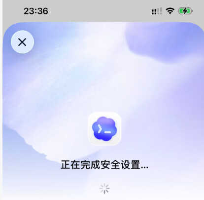 手机端 Codex 设置完成